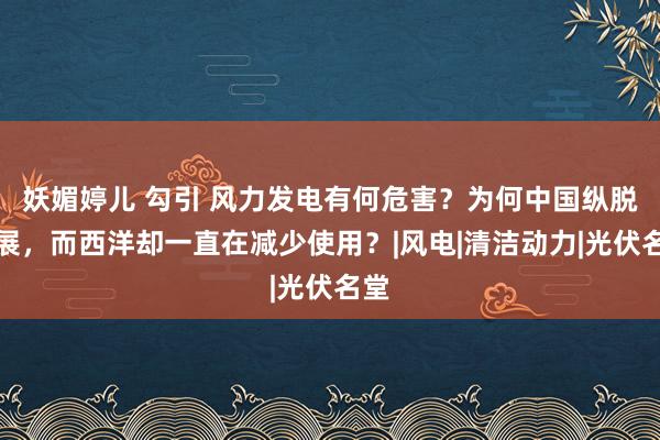 妖媚婷儿 勾引 风力发电有何危害？为何中国纵脱发展，而西洋却一直在减少使用？|风电|清洁动力|光伏名堂