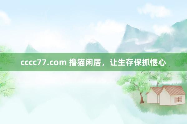 cccc77.com 撸猫闲居，让生存保抓惬心