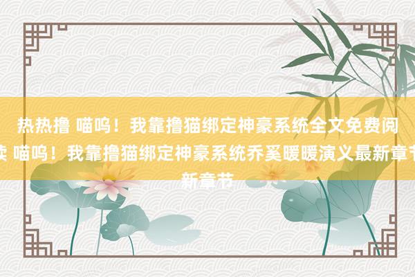 热热撸 喵呜！我靠撸猫绑定神豪系统全文免费阅读 喵呜！我靠撸猫绑定神豪系统乔奚暖暖演义最新章节