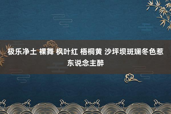 极乐净土 裸舞 枫叶红 梧桐黄 沙坪坝斑斓冬色惹东说念主醉